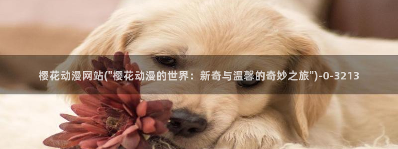 诛仙动漫：樱花动漫网站(\