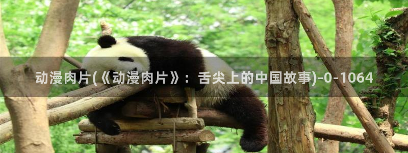 性爱动漫：动漫肉片(《动漫肉片》：舌尖上的中国故事)