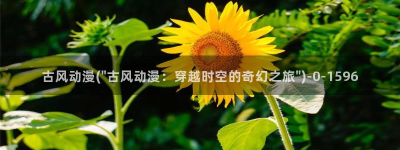 卡卡动漫：古风动漫(\